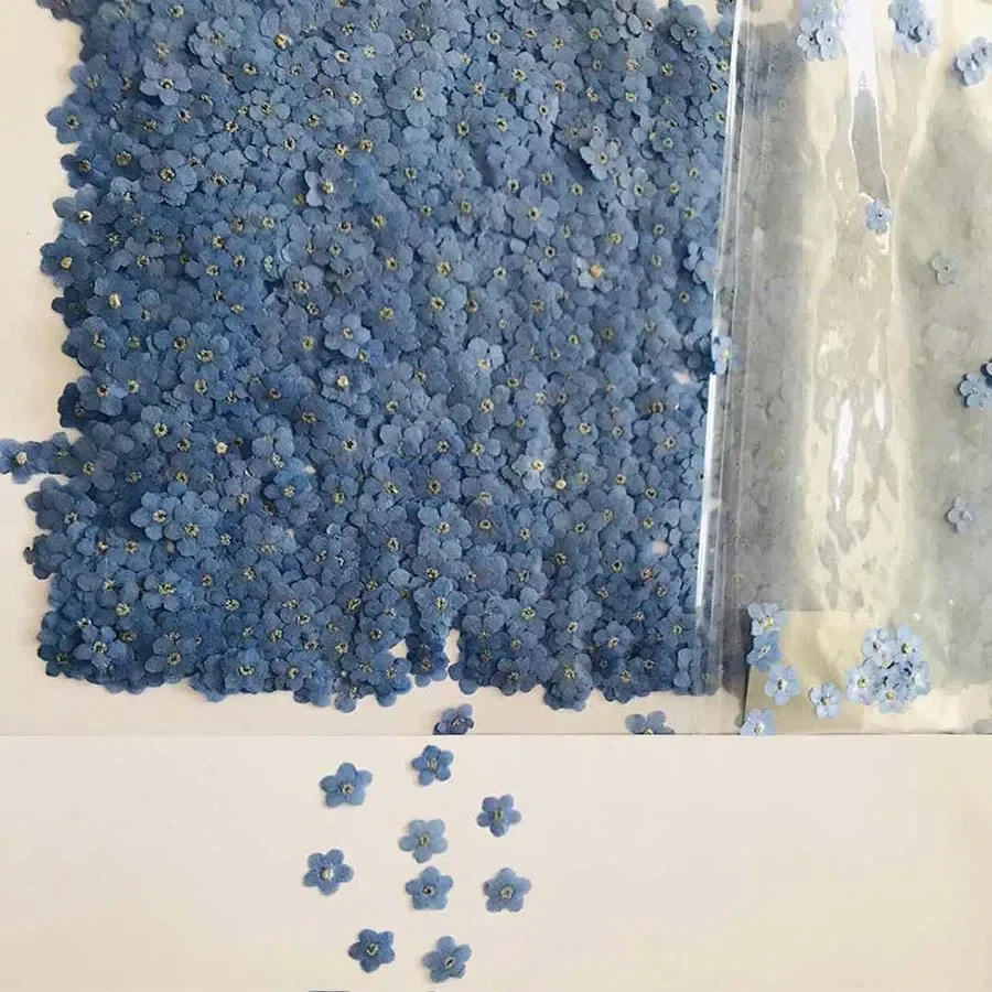 Natural Pressed Dried Blue For - Dried Flower Bookmark recension och pris