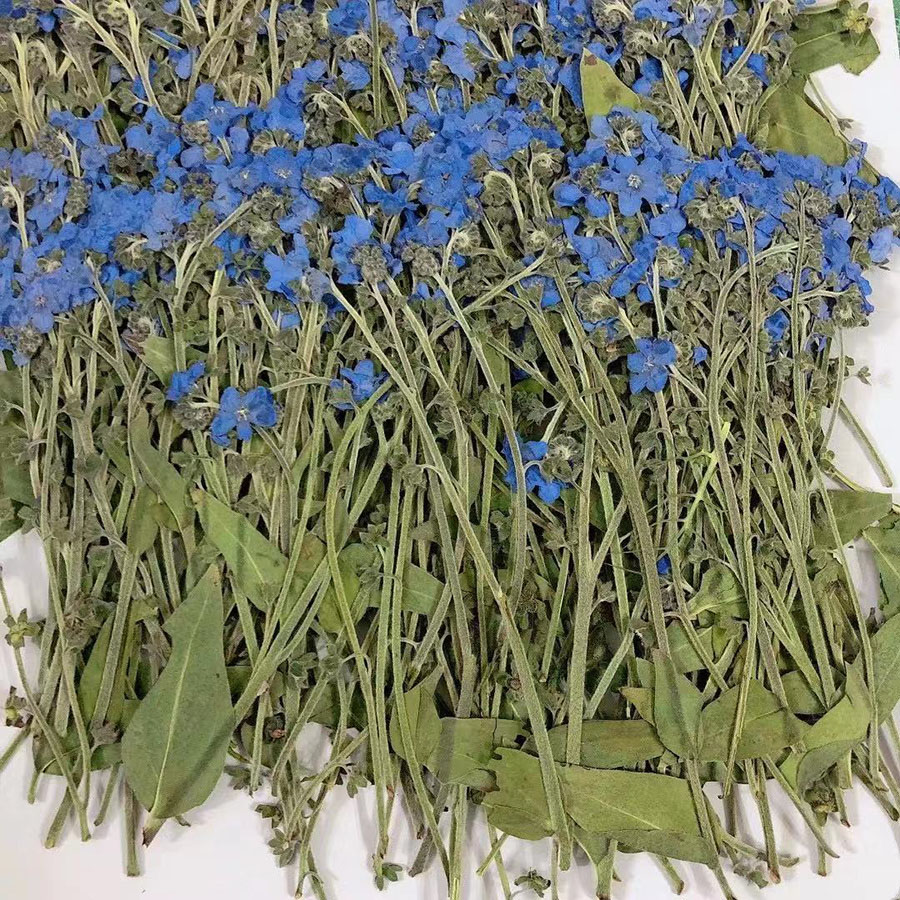 Natural Pressed Dried Blue For - Dried Flower Bookmark recension och pris