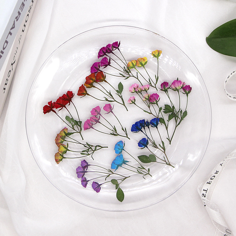36X Pressed Dried Multi-heads  - Dried Flower Bookmark recension och pris