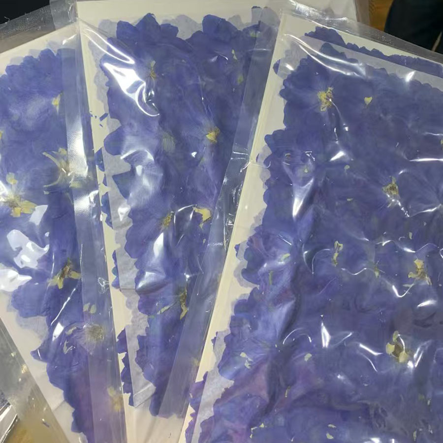 1000pcs Pressed Dried Big 4-7c - Dried Flower Bookmark recension och pris