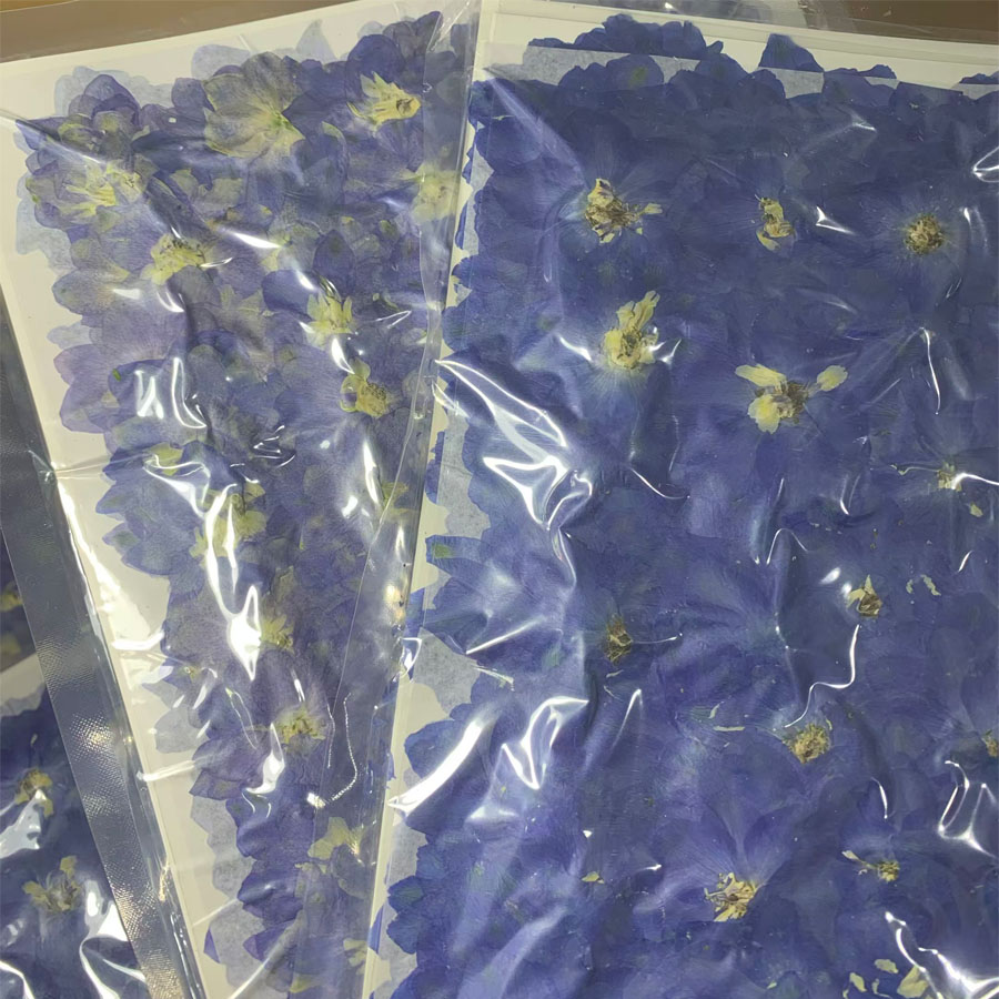 1000pcs Pressed Dried Big 4-7c - Dried Flower Bookmark recension och pris