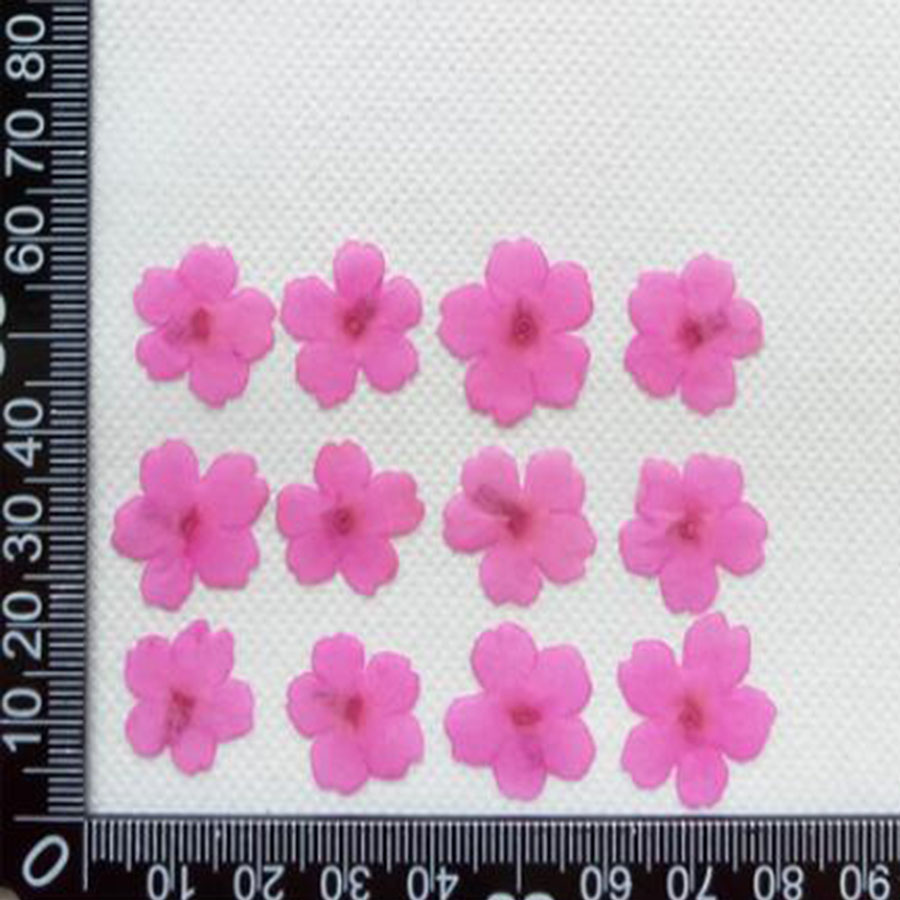 60pcs 1-2cm Pressed Dried Dyed - Dried Flower Bookmark recension och pris