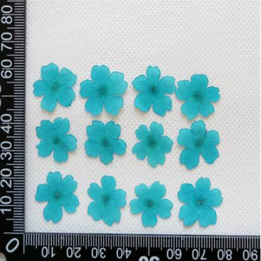 60pcs 1-2cm Pressed Dried Dyed - Dried Flower Bookmark recension och pris