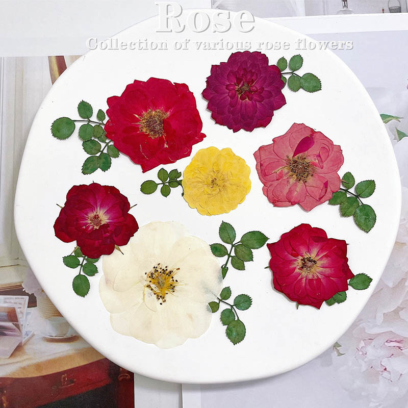 60pcs Pressed Dried Red Yellow - Dried Flower Bookmark recension och pris