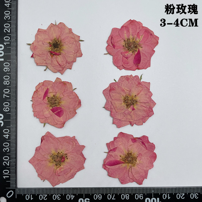 60pcs Pressed Dried Red Yellow - Dried Flower Bookmark recension och pris