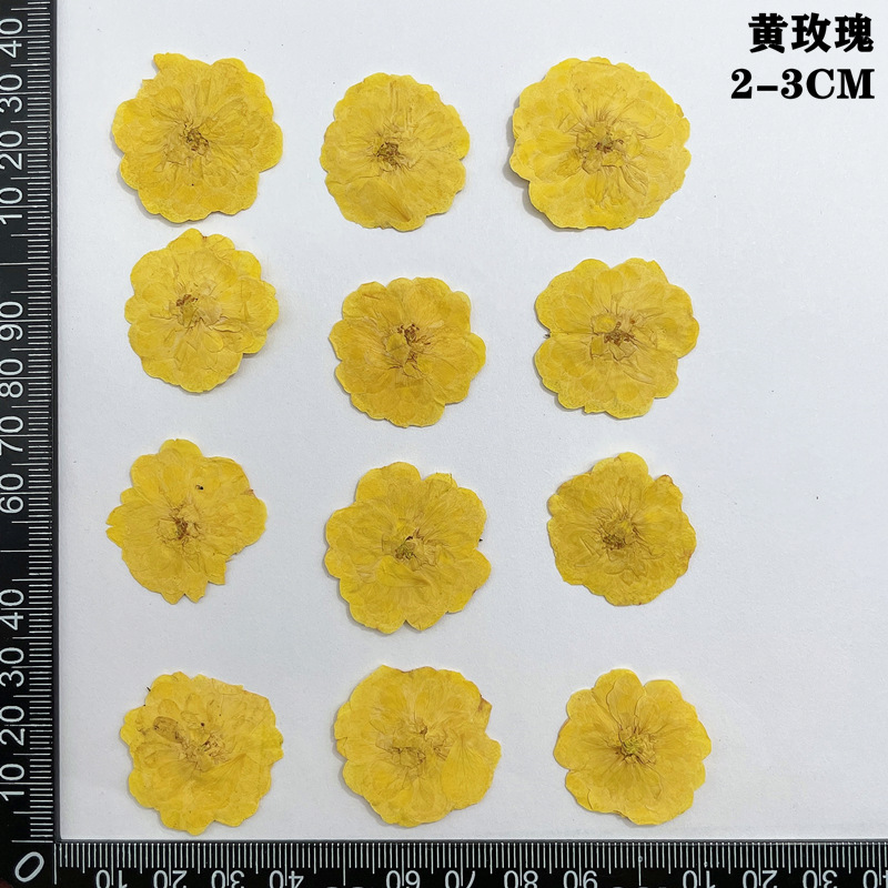60pcs Pressed Dried Red Yellow - Dried Flower Bookmark recension och pris