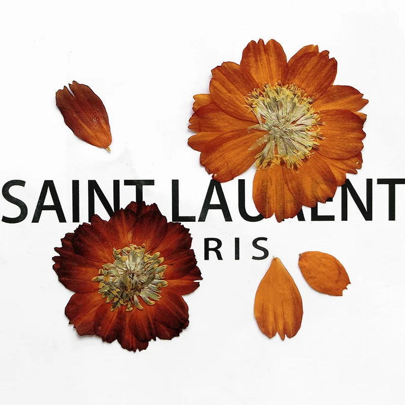 12pcs/3-5cm,Nature pressed Thi - Dried Flower Bookmark recension och pris