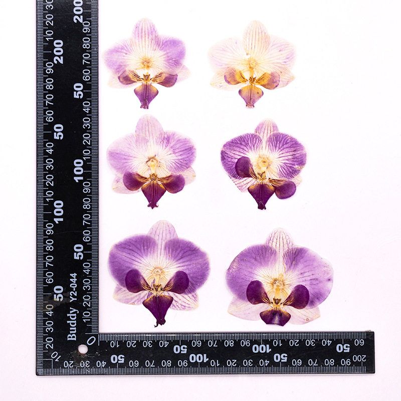 4 Pcs Pressed Dried Phalaenops - Dried Flower Bookmark recension och pris