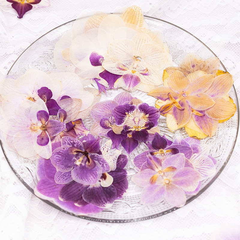 4 Pcs Pressed Dried Phalaenops - Dried Flower Bookmark recension och pris