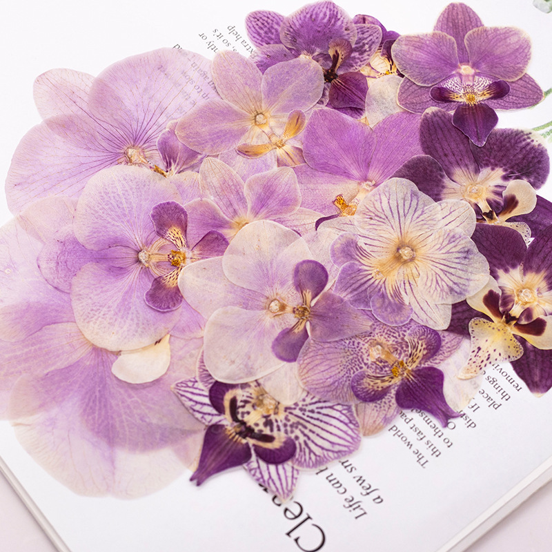 4 Pcs Pressed Dried Phalaenops - Dried Flower Bookmark recension och pris