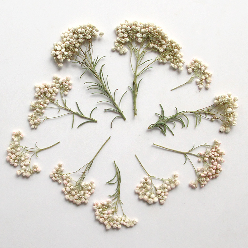 12pcs, Nature Millet Flower Br - Dried Flower Bookmark recension och pris