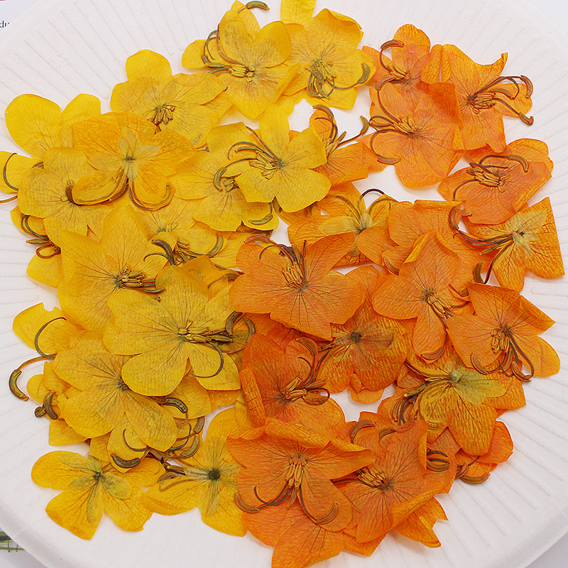 60pcs Dried Pressed Yellow/Ora - Dried Flower Bookmark recension och pris