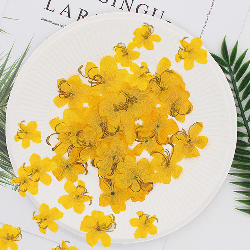 60pcs Dried Pressed Yellow/Ora - Dried Flower Bookmark recension och pris