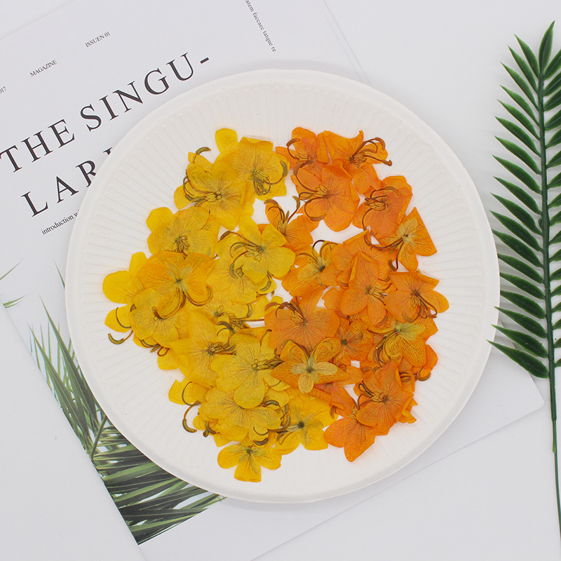 60pcs Dried Pressed Yellow/Ora - Dried Flower Bookmark recension och pris