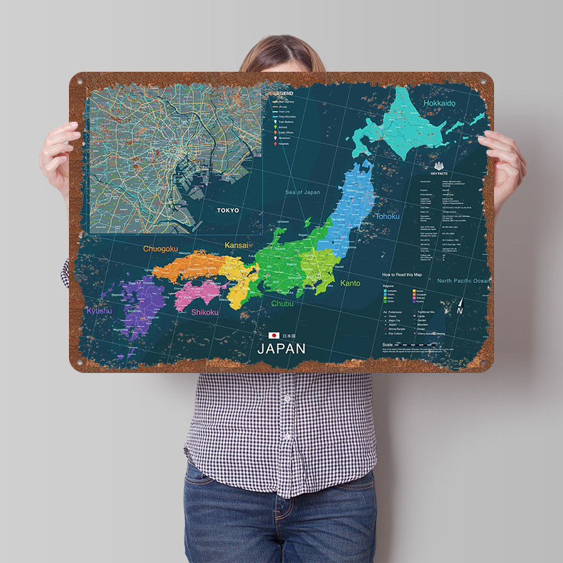 Map of Japan and Tokyo Poster  - Custom Map Poster recension och pris