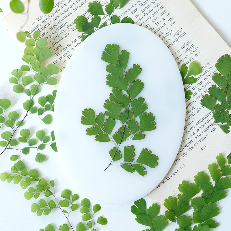 60Pcs Natural Plant Real Flowe - Dried Flower Bookmark recension och pris