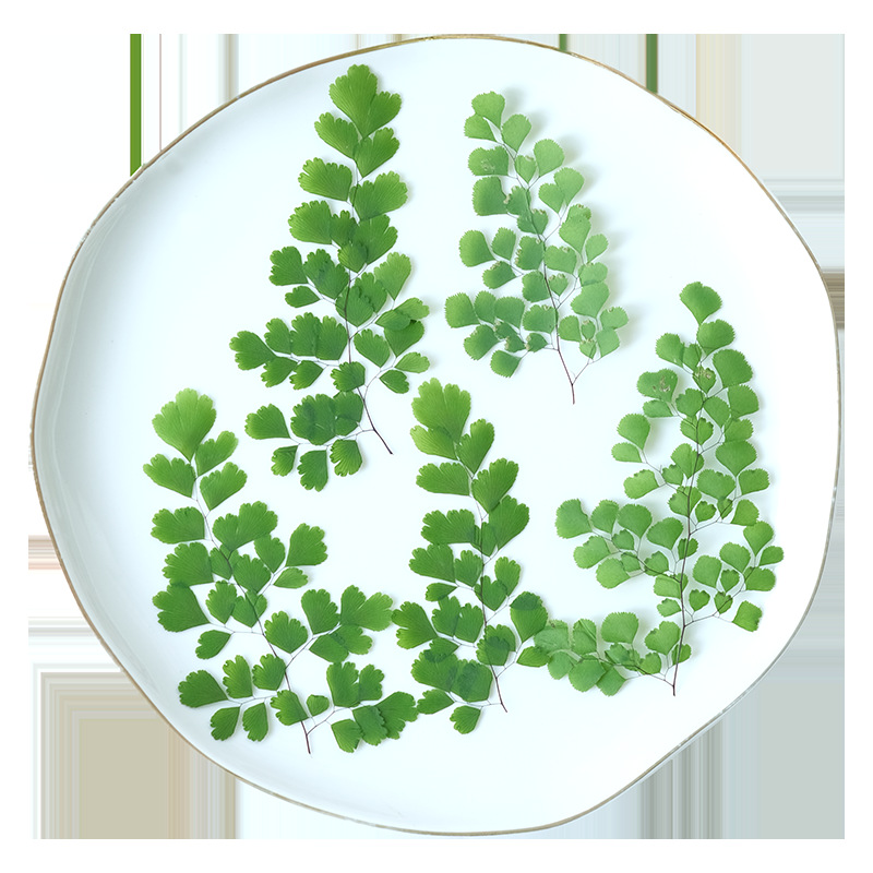 60Pcs Natural Plant Real Flowe - Dried Flower Bookmark recension och pris