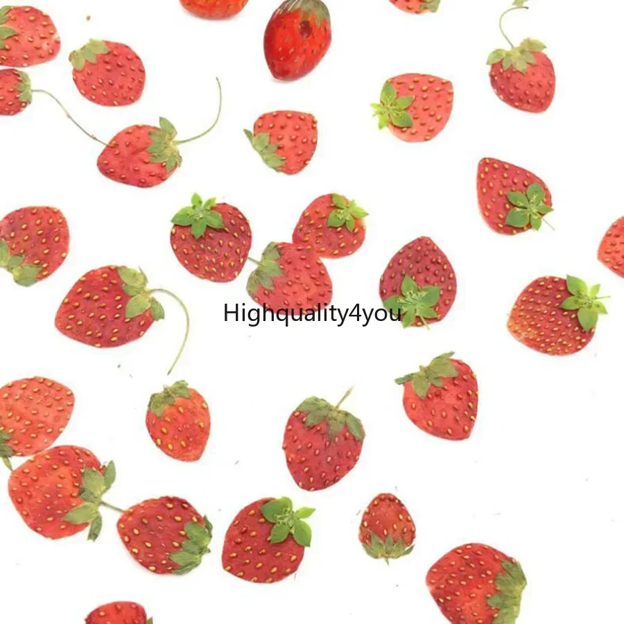 10pcs Dried Pressed Mini Fruit - Dried Flower Bookmark recension och pris