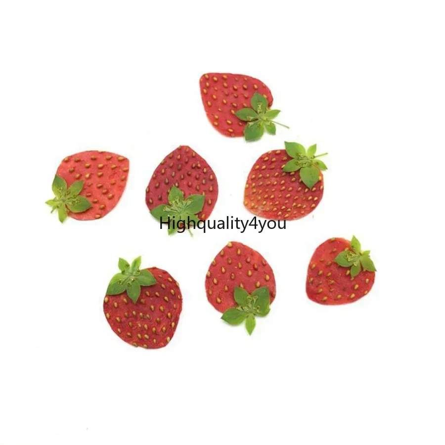 10pcs Dried Pressed Mini Fruit - Dried Flower Bookmark recension och pris