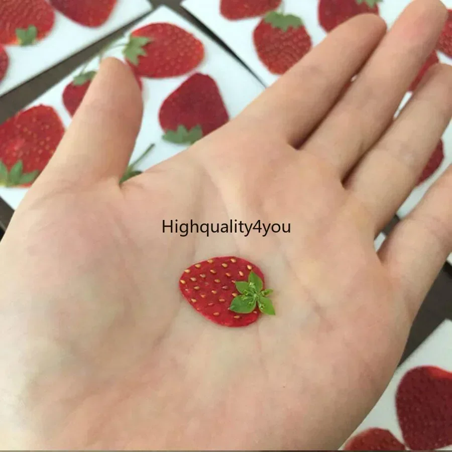10pcs Dried Pressed Mini Fruit - Dried Flower Bookmark recension och pris