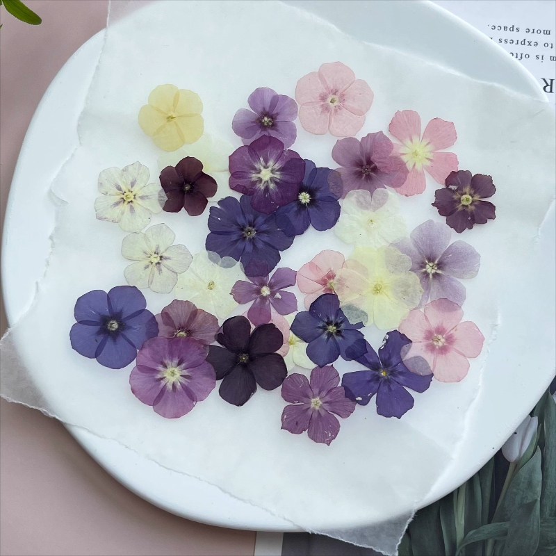 12pcs,Semi-Transparent Niche P - Dried Flower Bookmark recension och pris